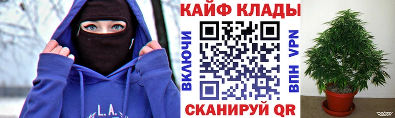 Продажа наркотиков Аргун Метадон  блэк спрут онион  АМФЕТАМИН  Бошки Шишки  ГАШ  Кодеин  Альфа ПВП  Мефедрон 