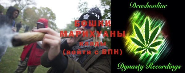 шишки Алексеевка