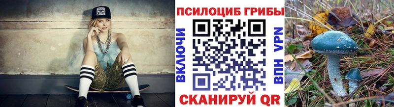 Псилоцибиновые грибы мицелий Аргун
