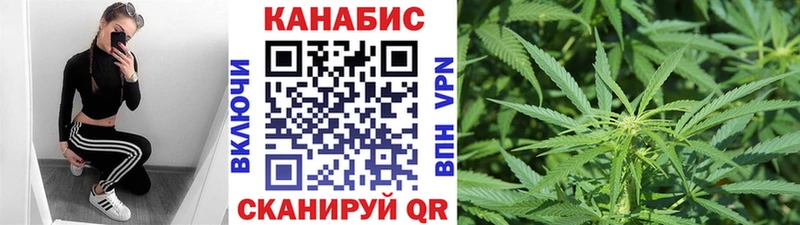 Бошки Шишки гибрид Аргун